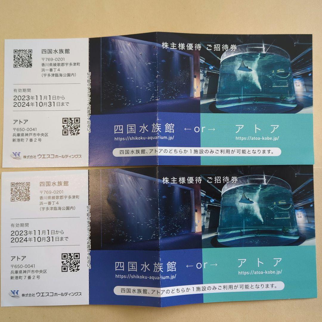 四国水族館の開館5周年をPR 学生がポスターとロゴを制作 香川・宇多津町KSBニュースKSB瀬戸内海放送