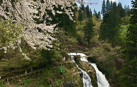 山形県銀山温泉 – 2022年8月29日：夏の銀山温泉の町並み写真素材2202167193Shutterstock