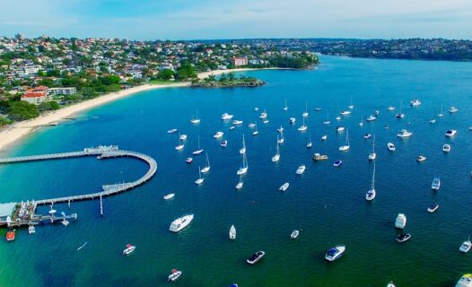 マイソール インドで1番ドーサが美味いマイソールを観光！大満足の宮殿もありいのこうの世界一周ダイアリ