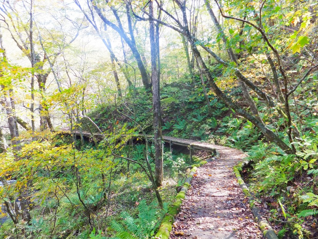 軽井沢見晴台 雄大な景色とカフェの力餅。珍しい神社も参拝しよう –