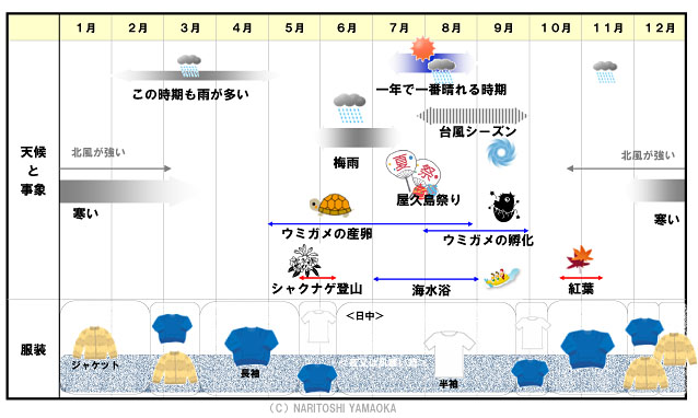 屋久島町の潮見表・タイドグラフ 2025年最新版・完全版