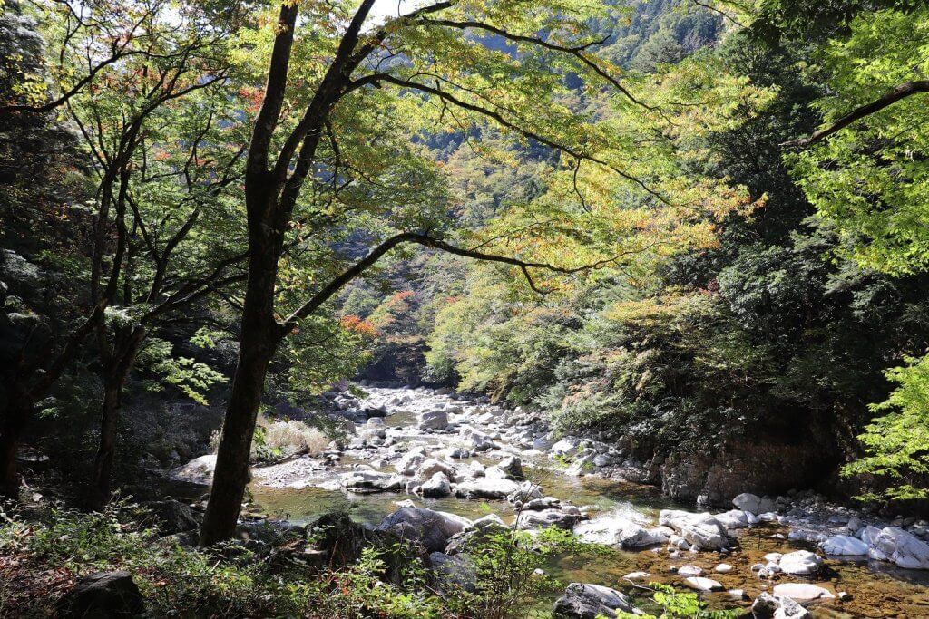 まるで中国の「桂林」！西日本随一の絶景スポットへ。広島の秘境「三段峡」で峡谷トレッキング 広島県安芸太田町瀬戸内Finder