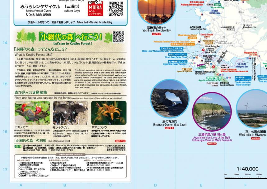 初春の三浦半島で美味しいマグロを食すJAPAN WEB MAGAZINE