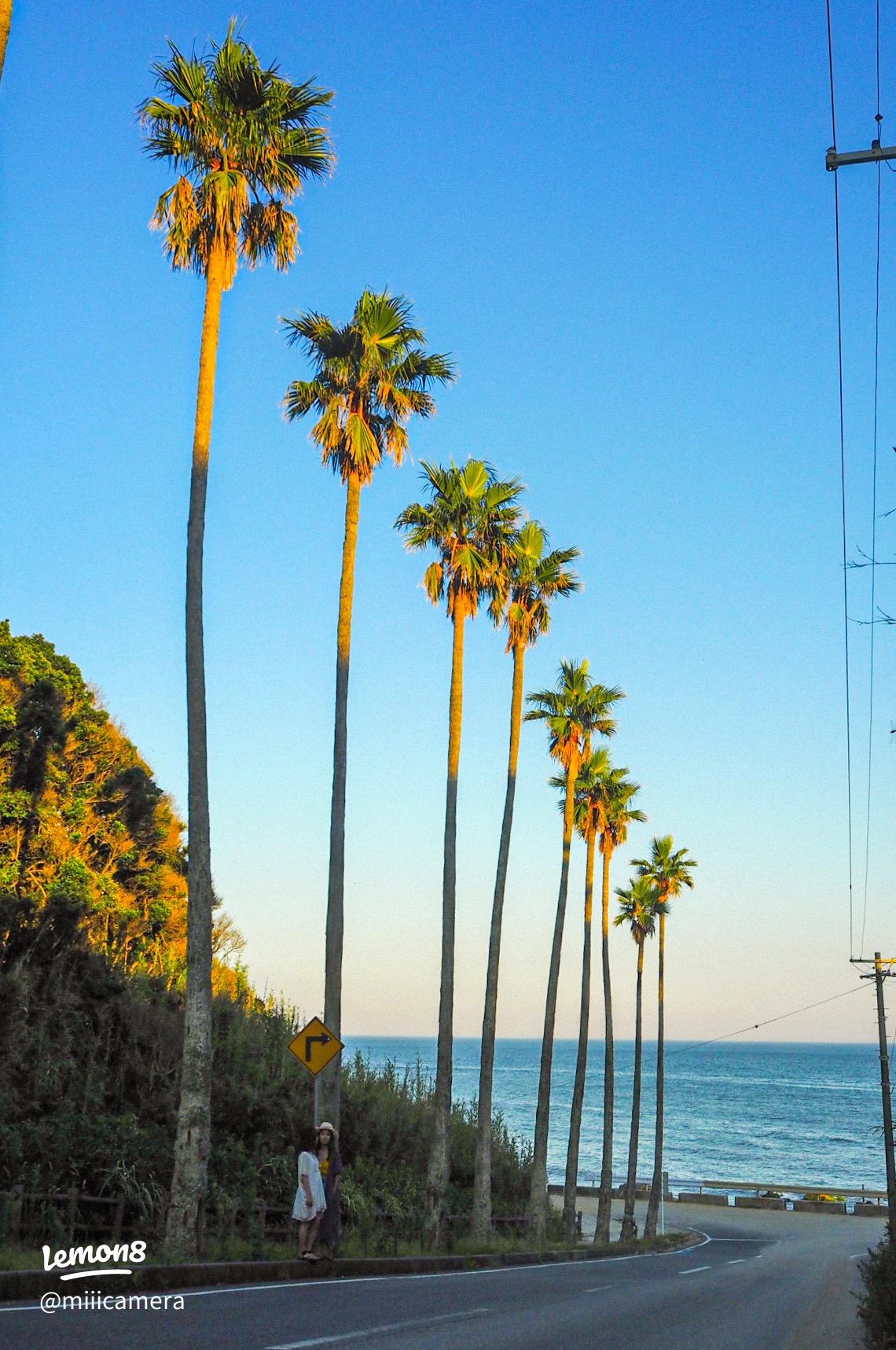 青空とビーチとヤシの木 写真素材856111- フォトライブラリ