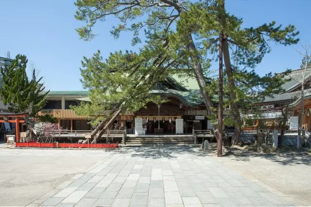 白山神社にいがたとりっぷ