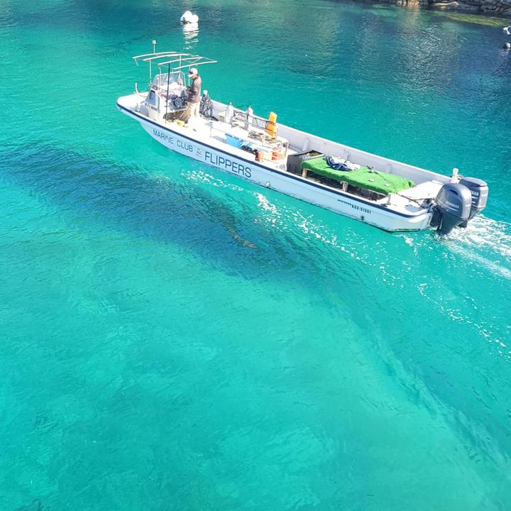 水上からの東京の景色 東京の観光公式サイトGO TOKYO