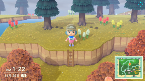 あつ森 崖・高台の登り方はしごの入手方法 あつまれどうぶつの森– 攻略大百科