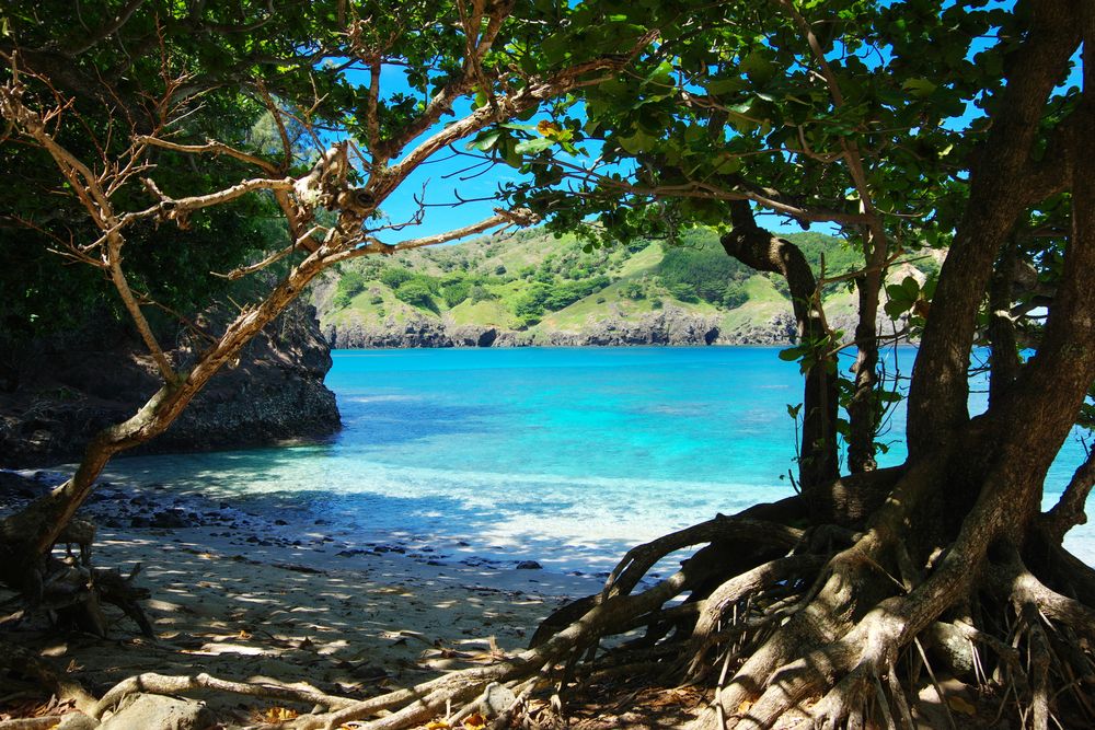 コペペ海岸 アクセス・営業時間・料金情報 -