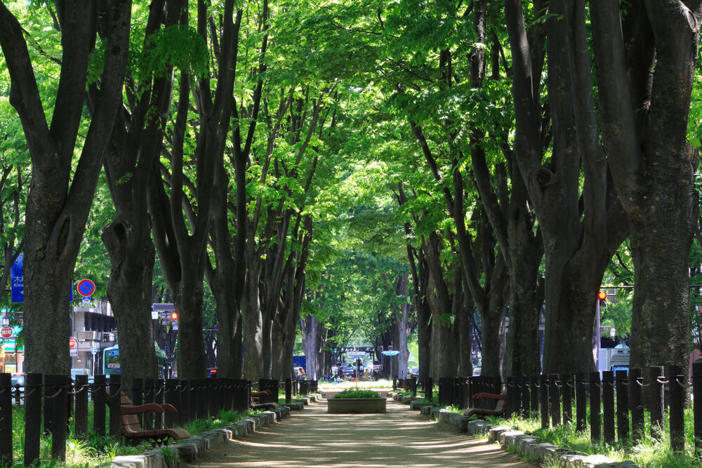 地球をモチーフにした飴も！宮城のおすすめインスタ映えスポット12選 - PREMIUM