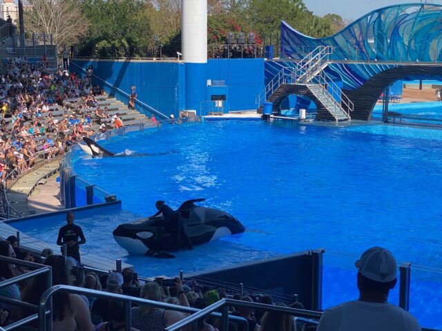 2012 2 オーストラリア