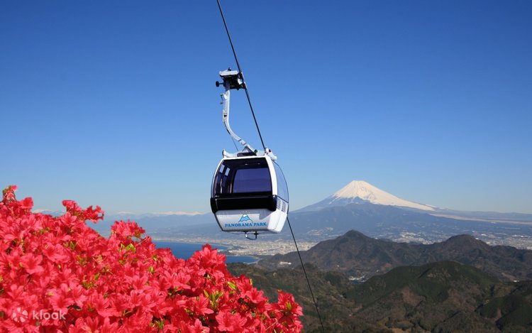 伊豆パノラマパークの見どころ、口コミ、アクセス情報 - OZmall