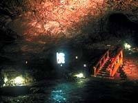 西湖蝙蝠穴 アクセス・営業時間・料金情報 -