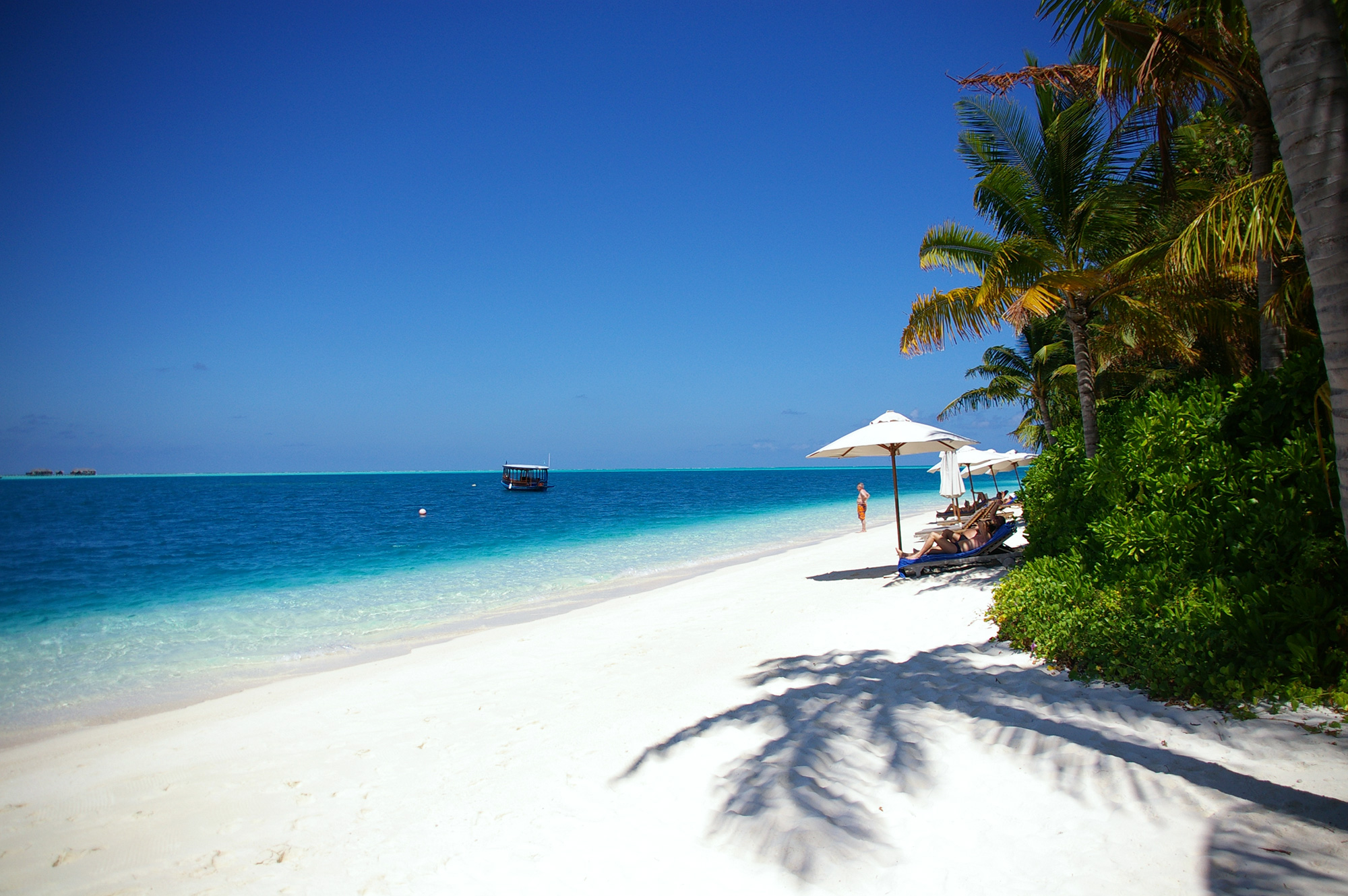 90000以上の無料ビーチ&自然画像 - Pixabay