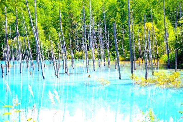 北海道 穴場のインスタ映え12選！絶景でソフトクリームも楽しめるスポットも！旅アトリーチ