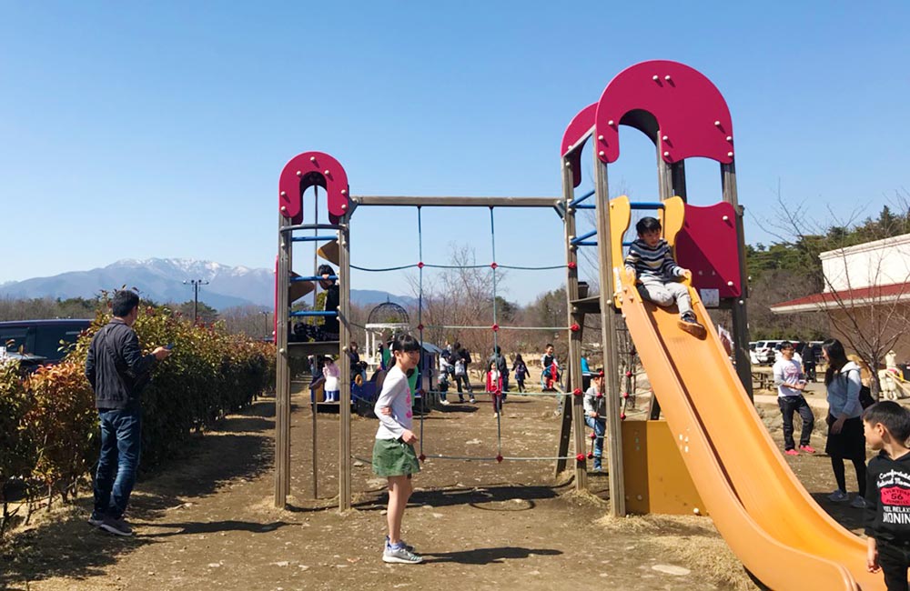 酒々井アウトレットで久しぶりのLEGOストア🐻✨ パーツを色々とフィギュア数体とケース、クラシックボックスをゲット👀💡 アウトレットに着いてから LEGOで買い物が終わるまで20分。 その後の奥さんの買い物に付き合うこと２時間