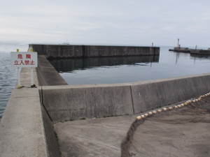 滑川漁港で釣れたカワハギの釣り・釣果情報 - アングラーズ釣果600万件の魚釣り情報サイト