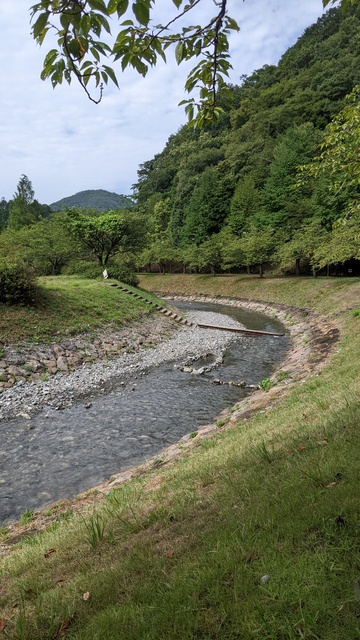 お外遊びをしよう！:知明湖キャンプ場で川遊び。明日から雨らしい