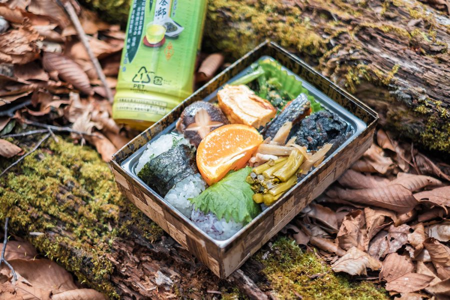 催行済 富士山内八海めぐりシリーズ第5弾！富士山と樹海の絶景ビューと本栖湖ハイキング地元出発ツアー のあたび