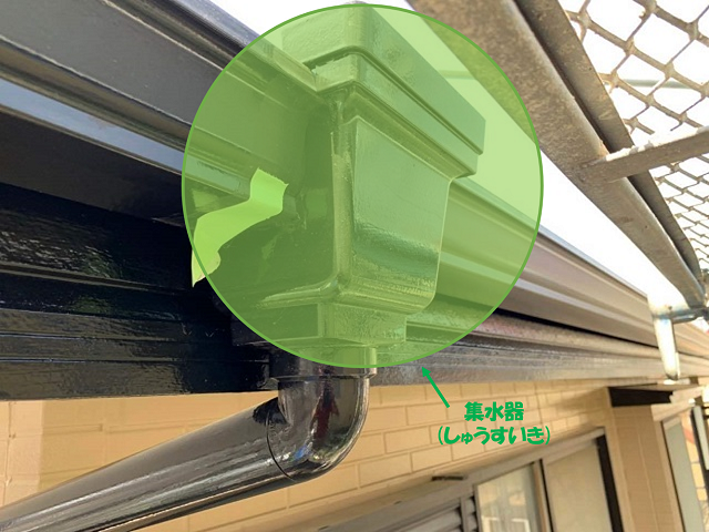 軒樋のことを調べる際に知っておいて欲しい5つのポイント