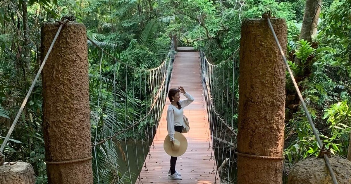 カオヤイ国立公園 1日ツアー バンコク発Klook