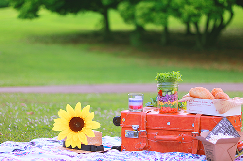 おうちピクニックを楽しもう！可愛いおうちピクニックのアイディアを紹介