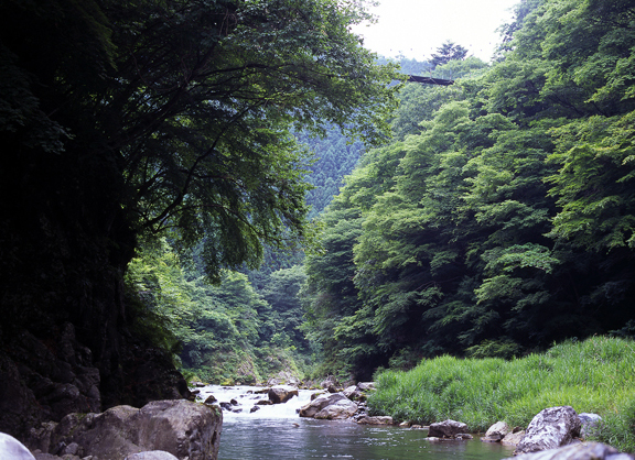 奥多摩むかし道にある新緑 5月初旬 の中の道所橋 吊り橋東京都奥多摩