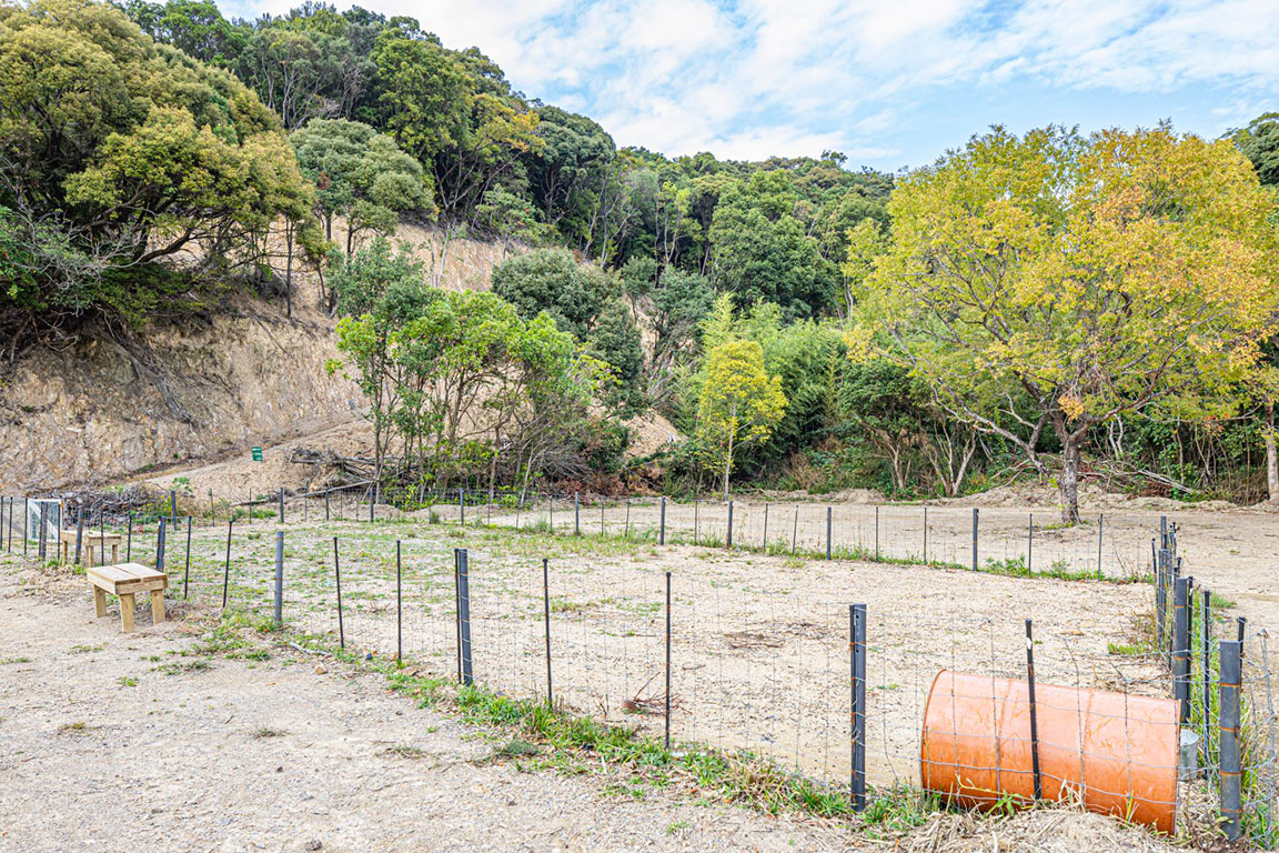 アドベンチャーリゾート施設「MOUNTQ マウントキュー 」で遊ぼう！ 和歌山県御坊市-