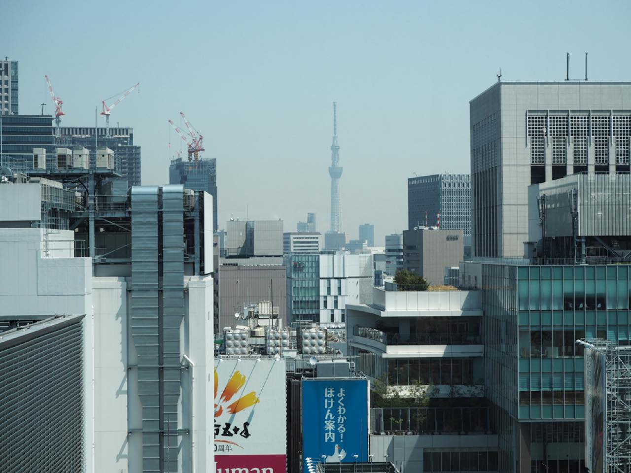 KITTE キッテ 屋上庭園からの東京駅夜景の無料の写真素材