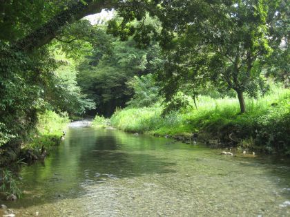 葛葉の泉OMOTAN 公式 表丹沢