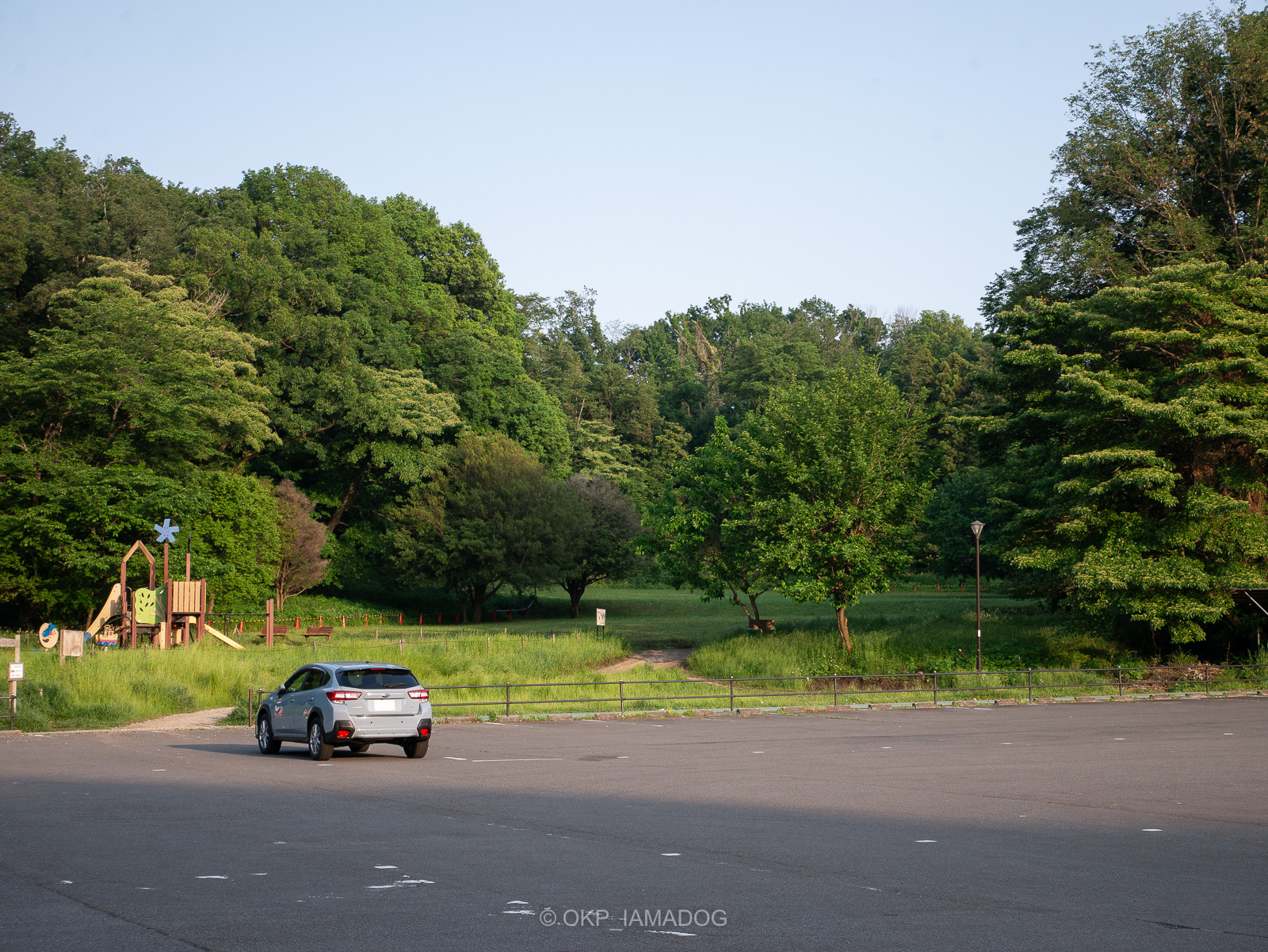 秩父のいちご狩りスポット2023-2024人気の農園を厳選！埼玉日和 さいたまびより