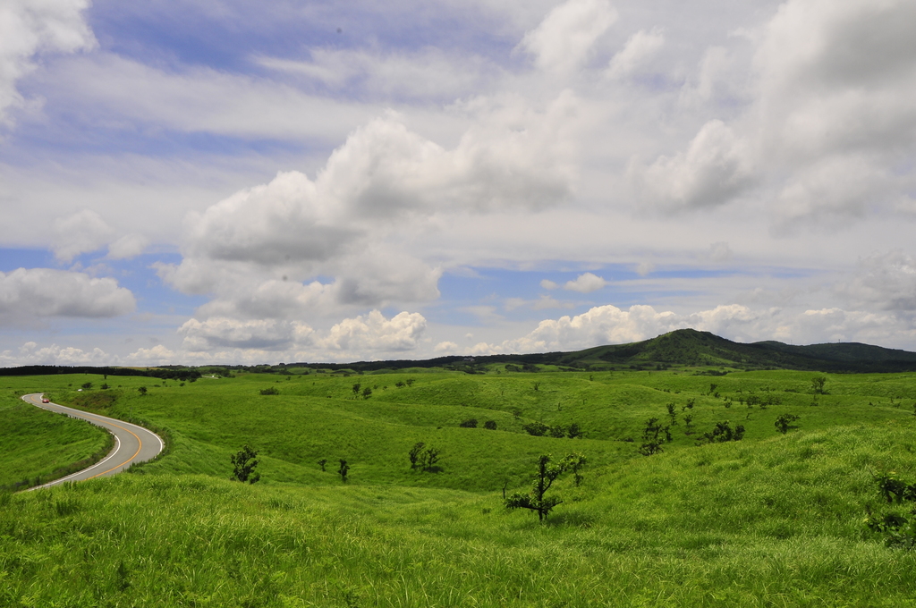 ミルクロード -熊本県 の詳細情報ことりっぷ