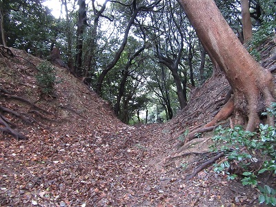 金ヶ崎城 - Wikipedia