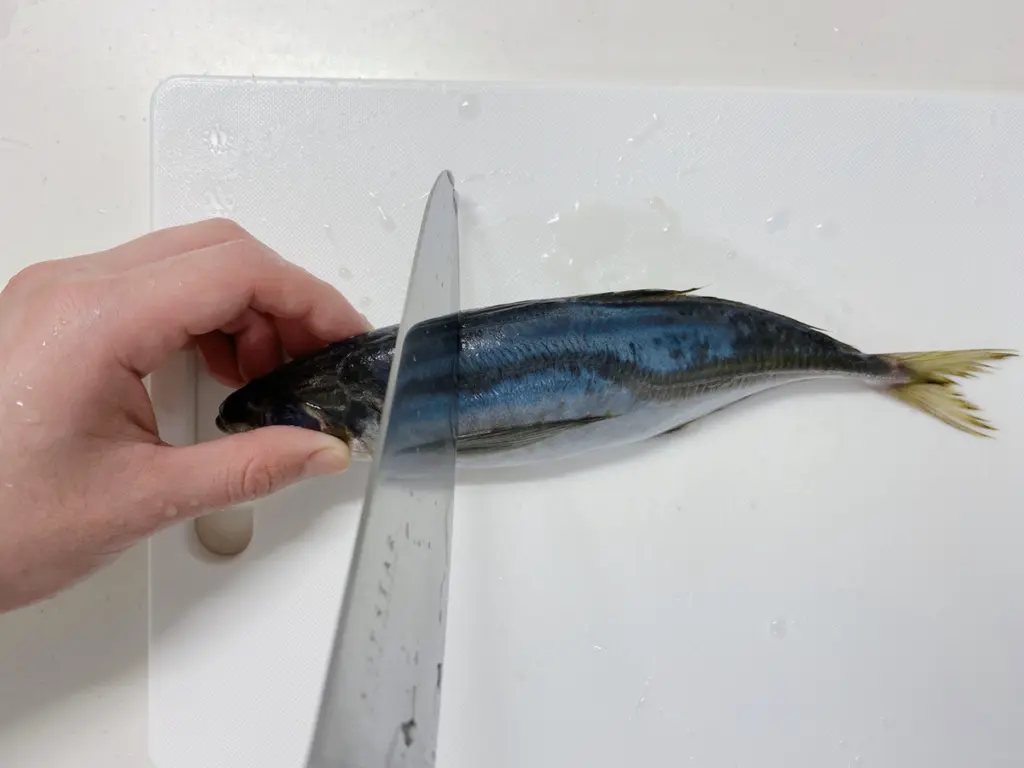 まとめ買い可 パーフェクト・アジ : 岸からのアジ釣りを楽しむ全ての人へ -