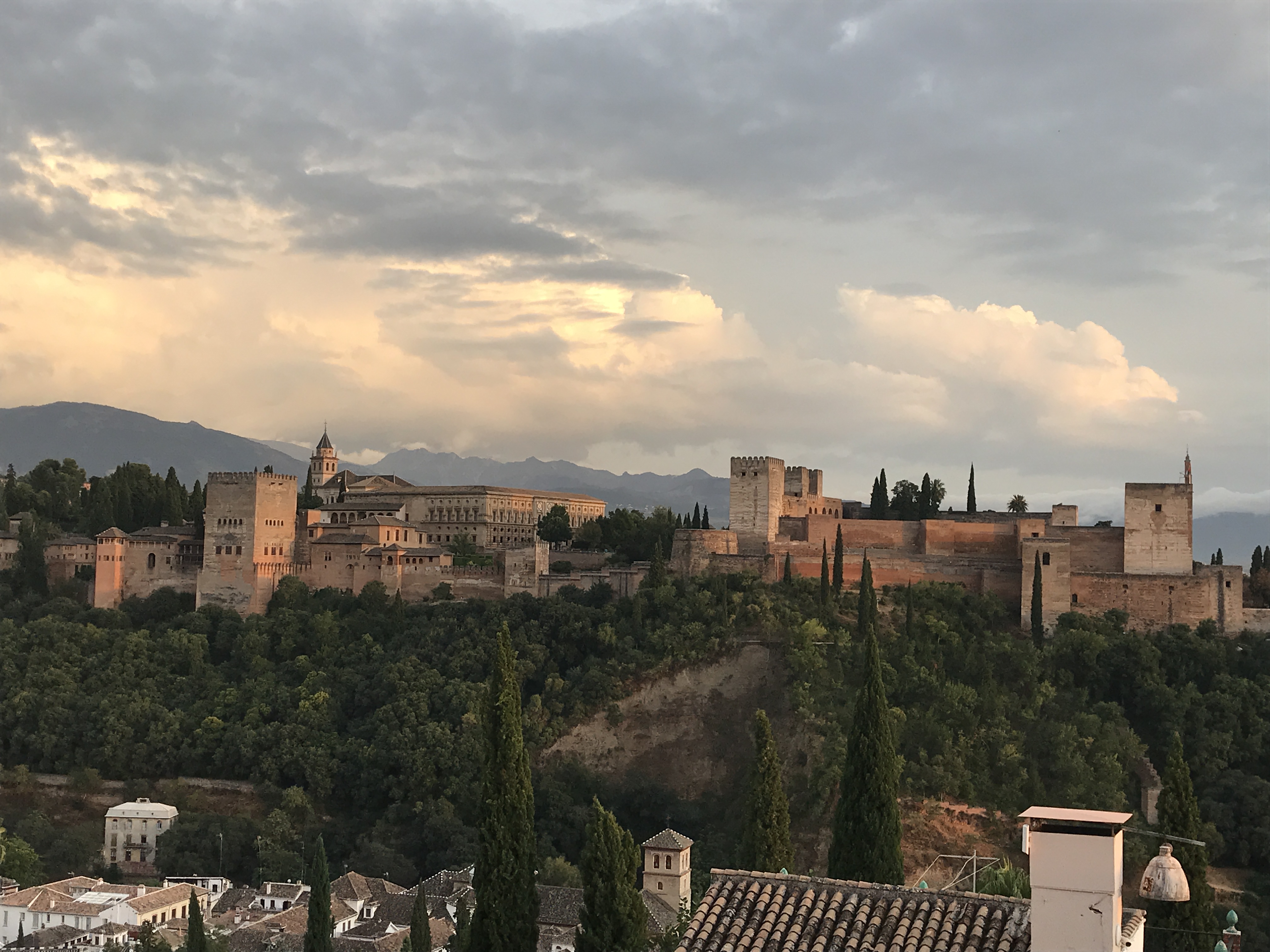 スペイン グラナダ アルハンブラ宮殿 入場券