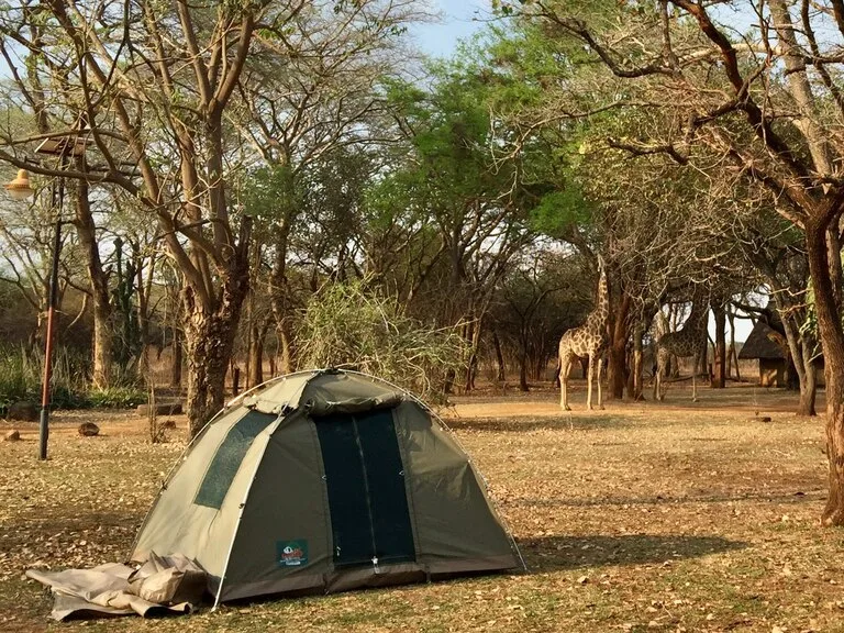 ザンビア観光で行ってよかったスポット5選！ビクトリアの滝だけじゃない魅力を紹介 - 地球人