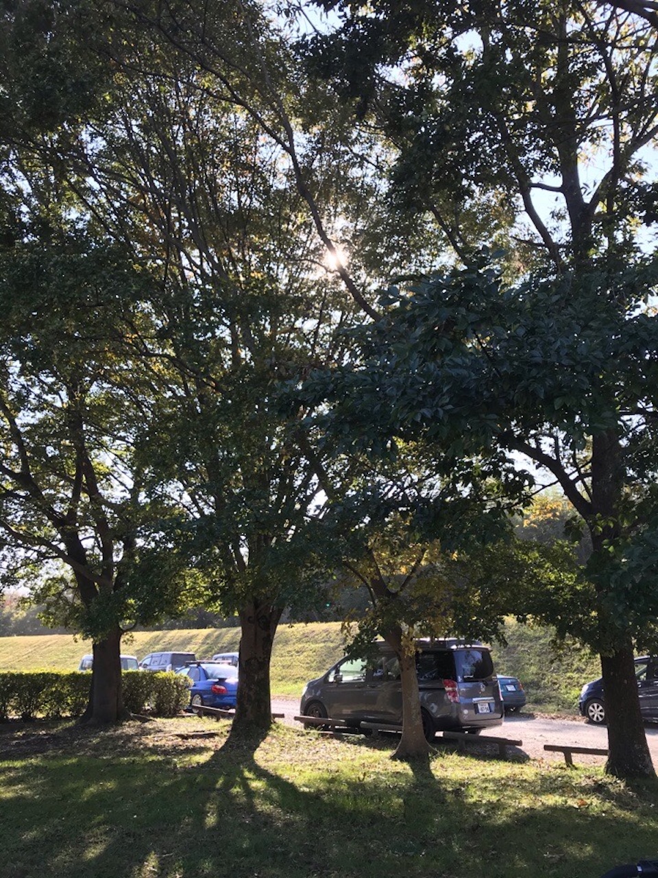 鬼怒川緑地運動公園でDay Camp - Leo-Roy's Diary