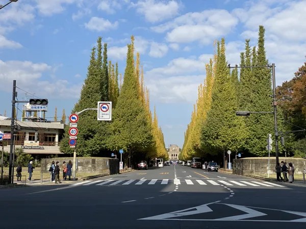 外苑前銀杏並木紅葉とライトアップ東京秋工会