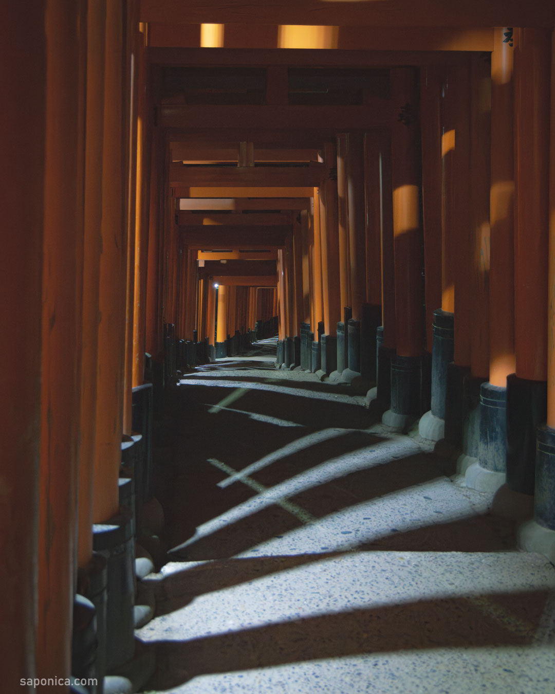 姫乃みゅう京都🍁 伏見稲荷大社の千本鳥居⛩️✨ ほぼ階段で、山登りのような感じで、頂上までの道のり長くてすごかったです🥹⛩️京都伏見稲荷大社伏見稲荷大社千本鳥居紅葉スポットモデルミスジャパンミス埼玉撮影会作品撮り被写体Instagram