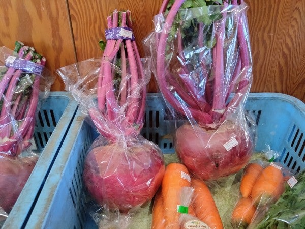 かわとね園 梨直売所多鯰ケ池