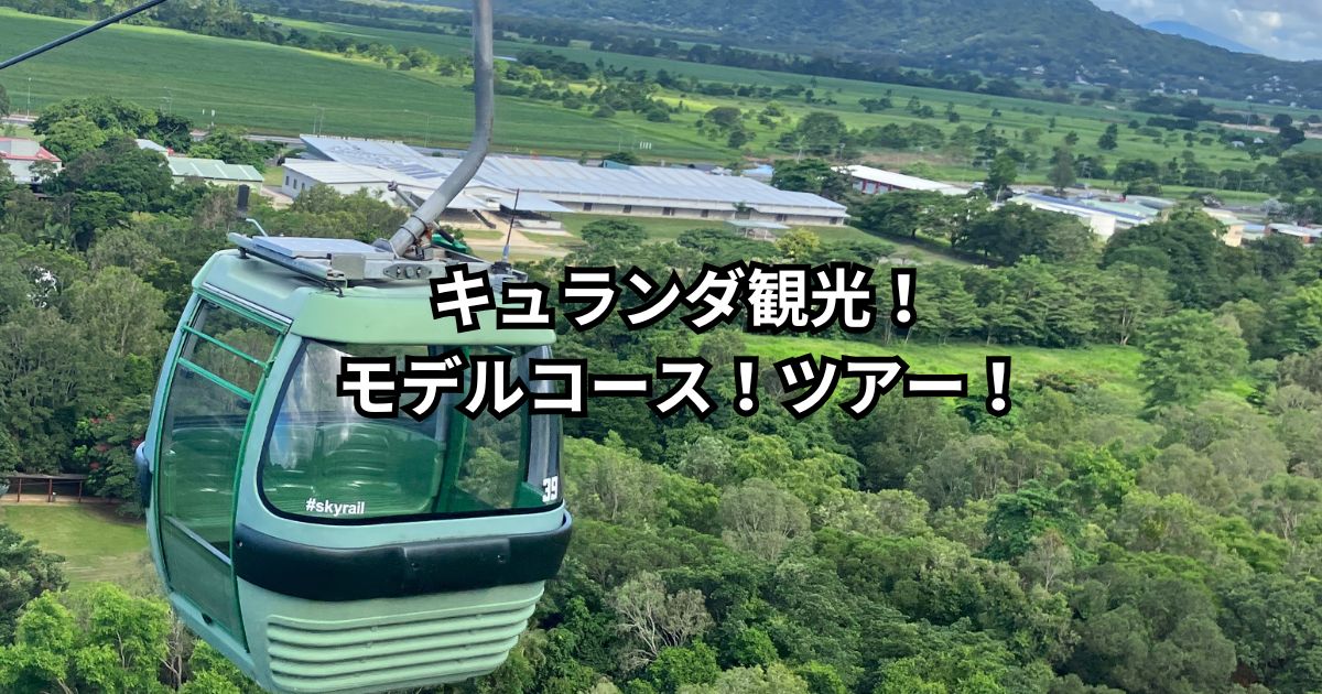 ケアンズ早わかり＆3泊5日モデルコース🐨 日本から最も近いオーストラリアの リゾートタウン、ケアンズ。 世界最古の熱帯雨林と、世界最大級のサンゴ礁「グレート・バリア・リーフ」に囲まれた街で、 自然と癒しの時間を楽しもう✨