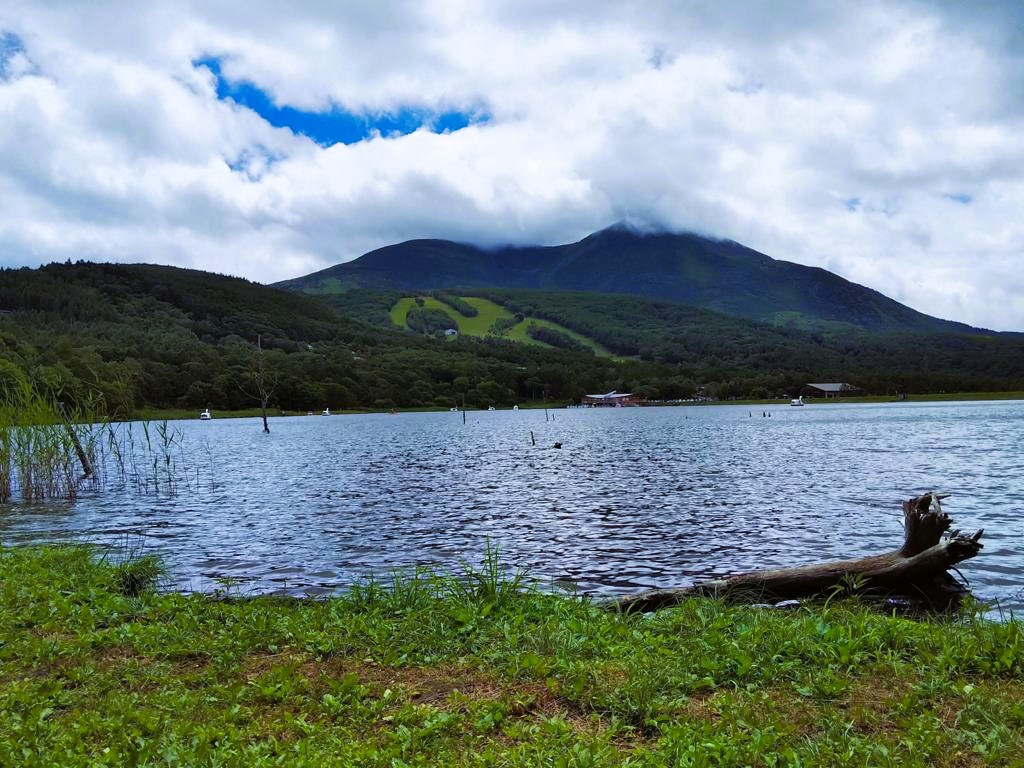 アルピコ諏訪バス「蓼科牧場」バス停留所 ホームメイト