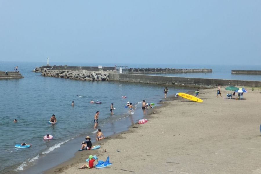 高浜海水浴場公式 Hajikko はじっこ