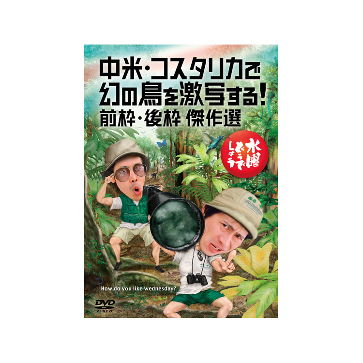 楽天市場 コスタリカ ケツァール どうでしょうの通販