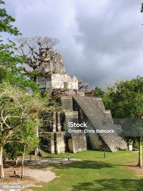 グアテマラ ティカル遺跡 - No: 28107211写真素材なら「写真AC」無料