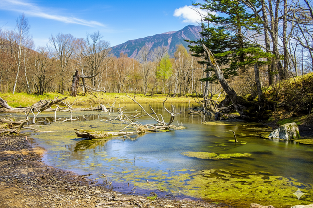 関東・中部・東北周辺の滝巡り案内