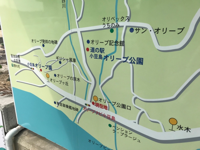 2025年 オリーブビーチ - 出発前に知っておくべきことすべて