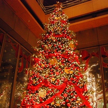 地下街最大級！ 東京駅一番街のイルミネーション「星空ステーション」開催中 -