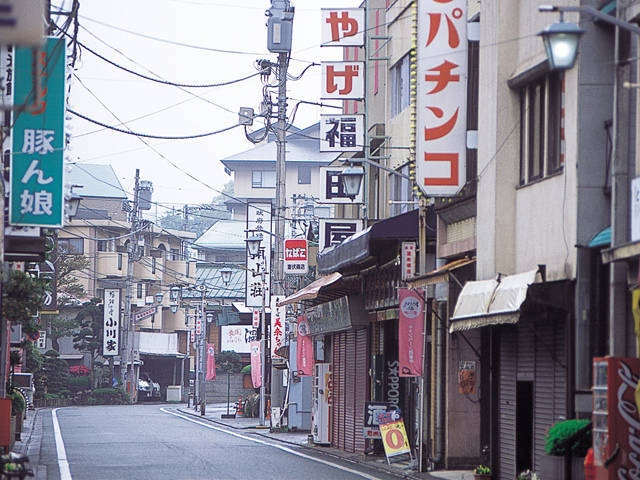 静岡県 伊豆の国市 伊豆長岡温泉 ニュー八景園 50%OFF券