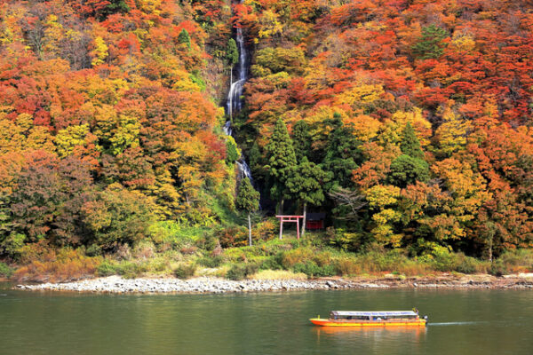 雲場池の紅葉は大混雑トコトコペンギン