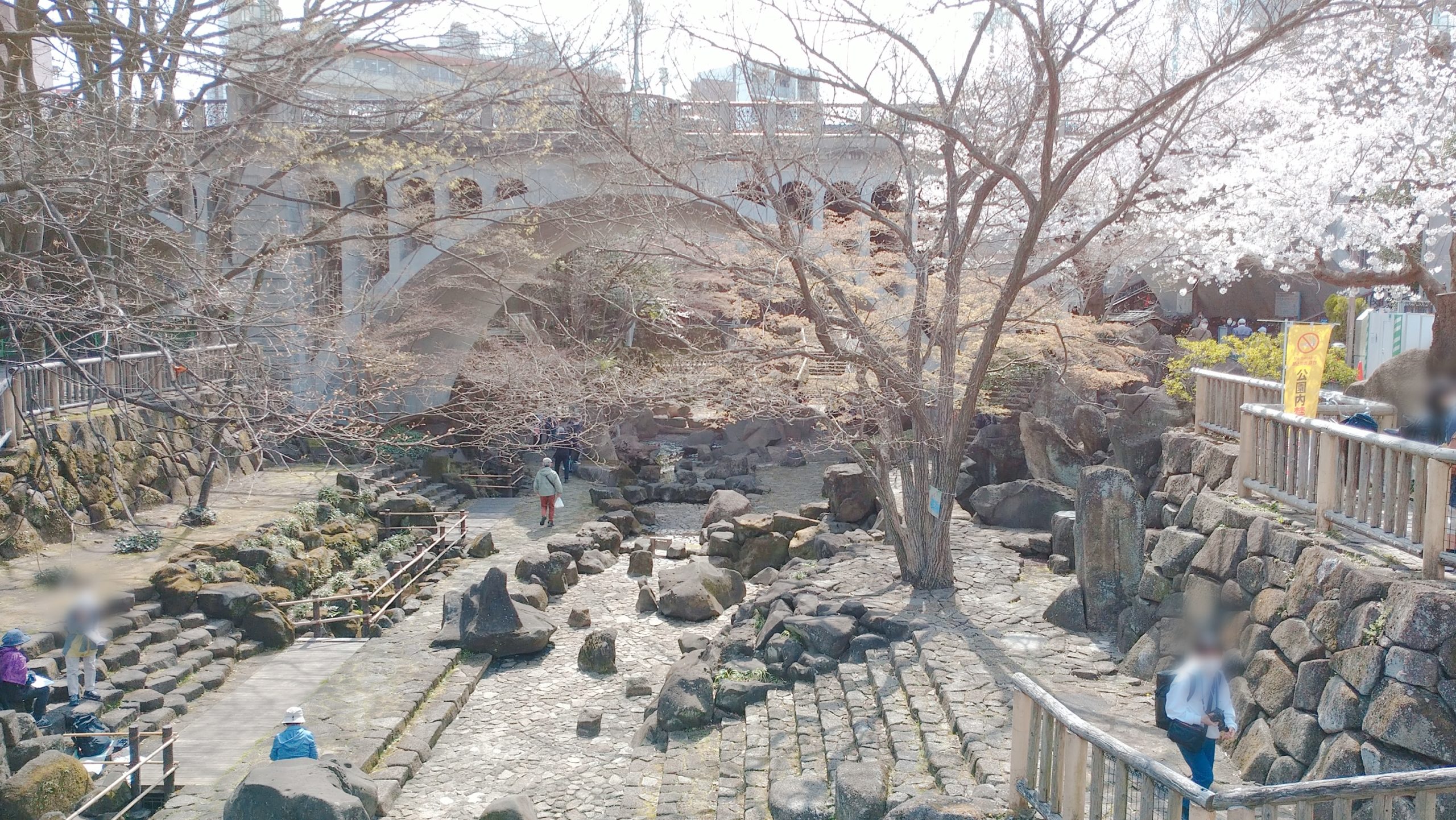 王子・音無親水公園 音無親水公園 春のライトアップ ～見たことのない、音無川へ～